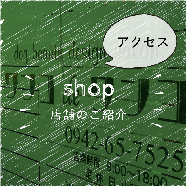 アクセスshop店舗のご紹介